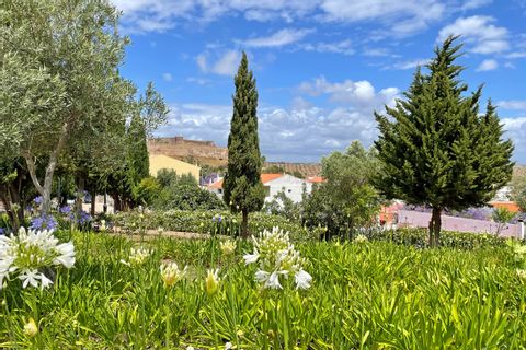 Blumenwiese in Vila Real