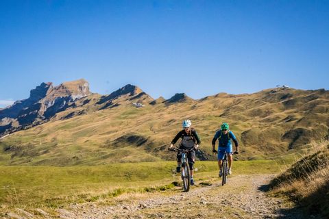 Mountain bikers on the Central Switzerland route. Cycling vacations with Eurotrek.