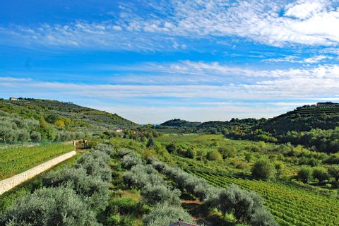 Wandern entlang beeindruckender Oliven- und Weingärten