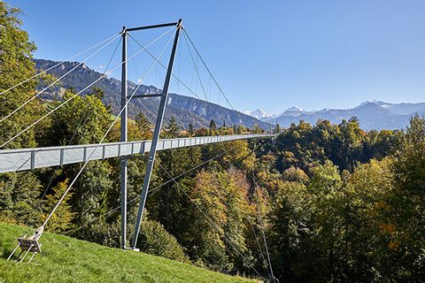 Eine moderne Hängebrücke die über den Wald führt.