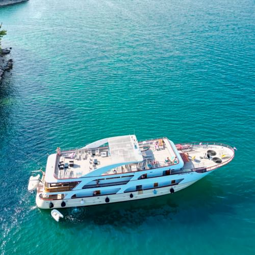 Luftaufnahme der MS Olmissum, ein weißes Kreuzfahrtschiff mit blauem Streifen, vor Anker in türkisem Wasser nahe bewaldeter Küste.