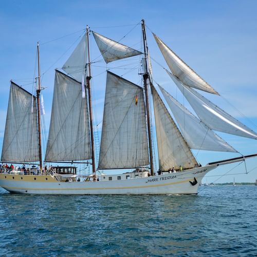 Dreimaster-Segelschiff Mare Frisium mit weißen Segeln auf ruhigem blauen Wasser unter klarem Himmel. Niederländische Flagge am Heck sichtbar.