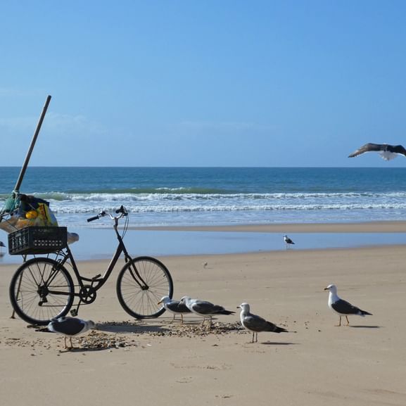 Fahrrad am Sandstrand der Algarve