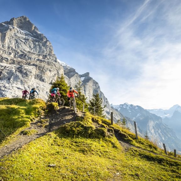 Mountenbike in Grindelwald