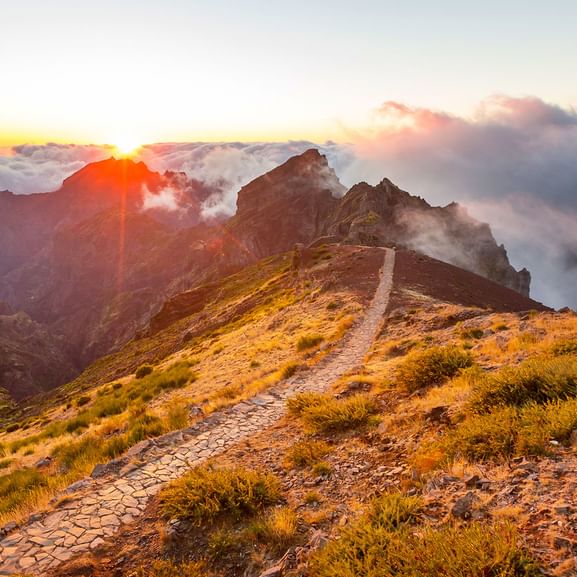Steiniger Wanderweg durch goldene Vegetation am Madeira Berghang bei Sonnenaufgang, mit dramatischen Gipfeln und Wolken darunter.