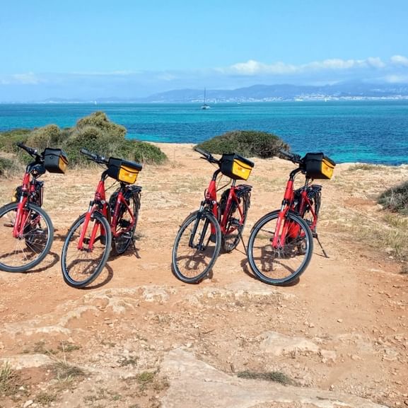 Vier rote Velos vor der Küste in Mallorca.