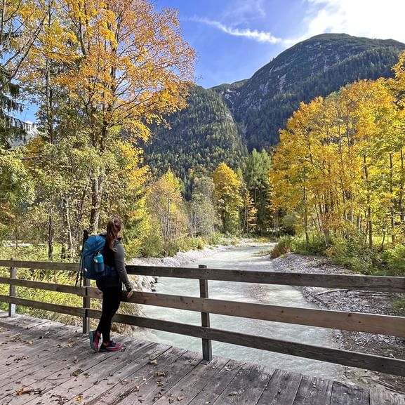 Leutasch bridge autumn forest