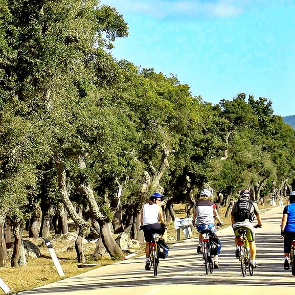Gruppe radelt am Radweg durch die Landschaft in Sardinien