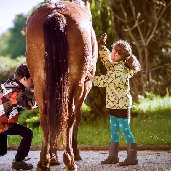 Ein braunes Pferd von hinten, das von einem kleinen Mädchen und einem Jungen gestriegelt wird.