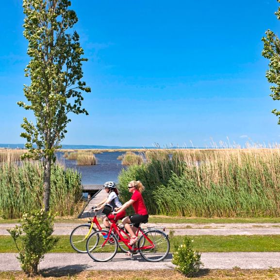 Zwei Radfahrerinnen am Schilfufer des Neusiedlersees