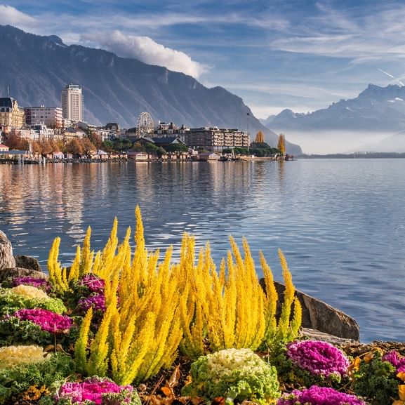 Blick von Montreux auf den Genfersee. Aktivferien mit Eurotrek.