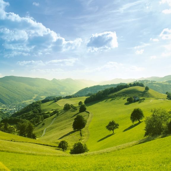 Eine fantastische Wiesenlandschaft unter noch schönerem, blauen und leicht bewölktem Himmel.