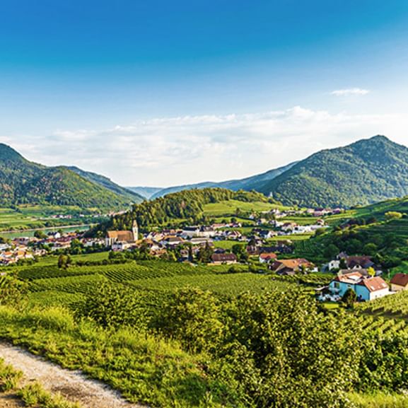 Ein weitläufiges Panorama in Wachau mit Bergen und Weinreben.