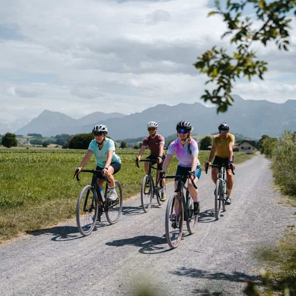 Vier Radfahrer auf Gravelbikes fahren auf einem Landweg durch grüne Felder mit Bergen im Hintergrund im Naturpark Gantrisch, Bern.