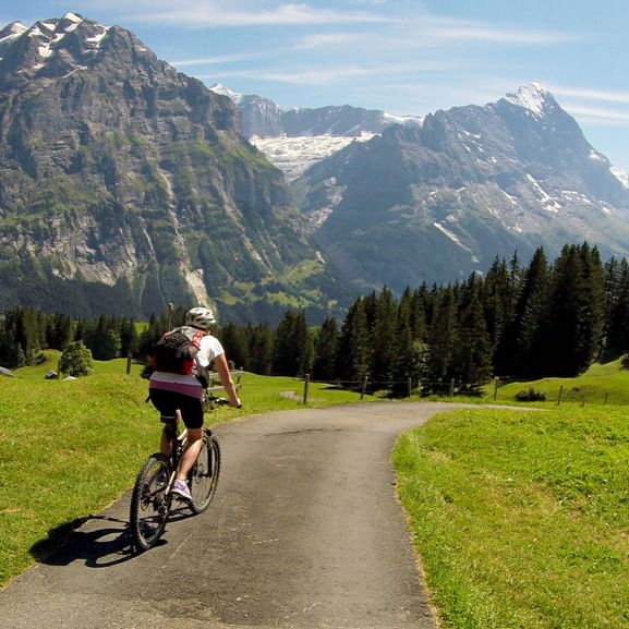 Mountainbiker auf einem Radweg duch die Natur.