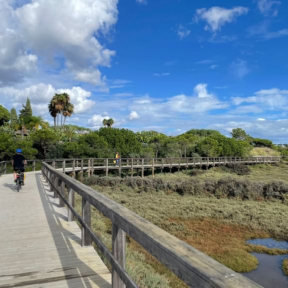 Radfahrer auf Holzsteg durch den Naturpark Ria Formosa mit Feuchtgebieten, Palmen und blauem Himmel mit weißen Wolken.