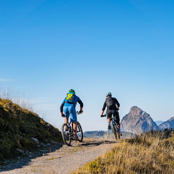 Two mountain bikers pedal their way up the narrow road.