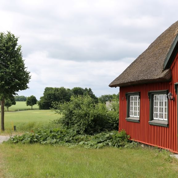 Ein traditionelles rotes Haus in Dänemark steht inmitten einer Wiesenlandschaft.