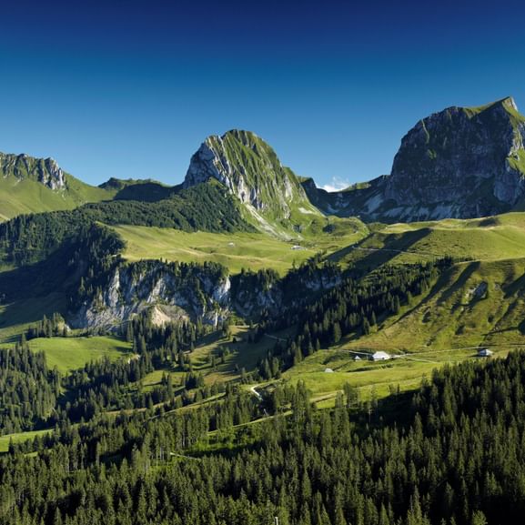 Weite Hügellandschaft in Grün. Im vorderen Bildbereich ist ein grosser Wald hinter dem es mit grünnen Wiesen weiter zu 3 Bergspitzen aufwärtsbgeht. Ein Wolkenfreier blauer Himmel oberhalb der Bergspitzen macht das Bild perfekt.