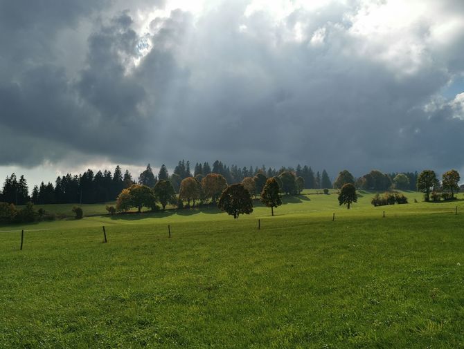 Die Sonne drückt durch die Wolken und scheint auf grüne Felder mit einzelnen Bäumen. 