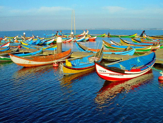 Bunte Fischerboote im Hafen von Aveiro