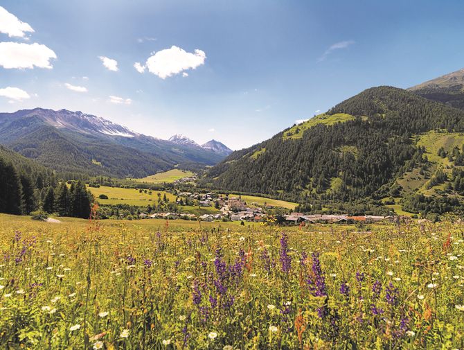 Blick auf das grüne Val Müstair. Schweizer Pärke. Aktivferien mit Eurotrek.