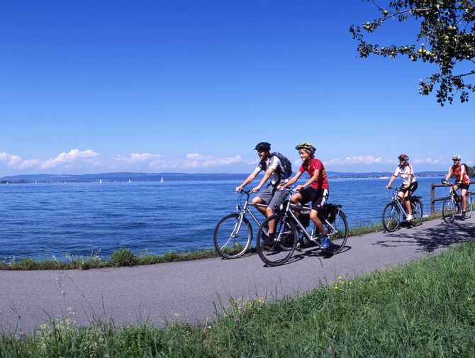 Cyclists ride along Lake Constance