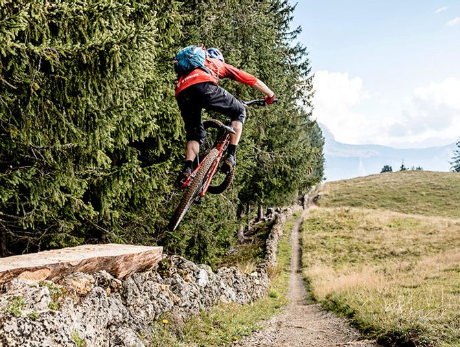 Ein Biker macht einen Jump in einem Wald im Hintergrund die Berge. 