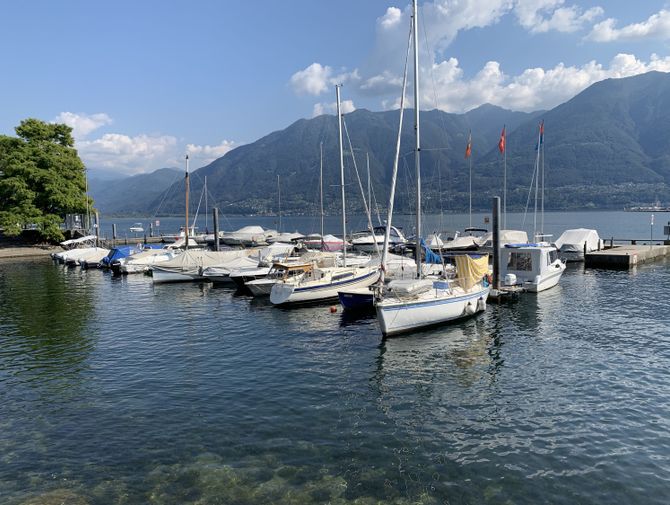 Blick auf einen kleinen Steg mit mehreren Segelbooten auf dem Lago Maggiore