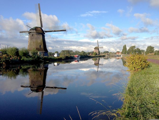 Windmühle in Holland spiegelt sich im See.