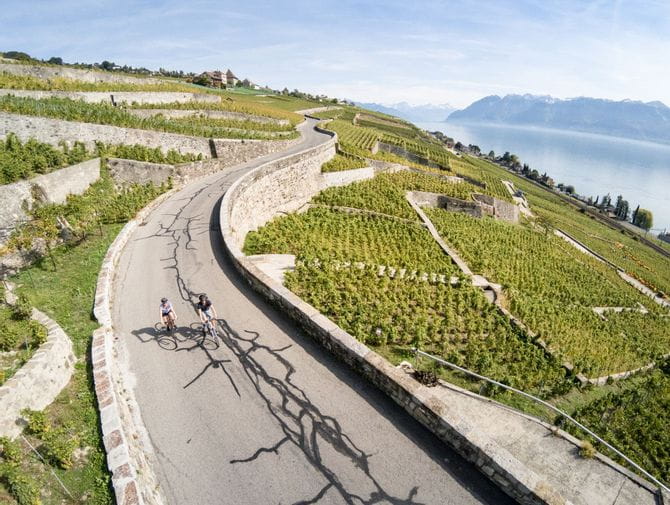 Auf einer Strasse über einem Rebberg fahren zwei Radfahrerinnen am Genfersee entlang. 