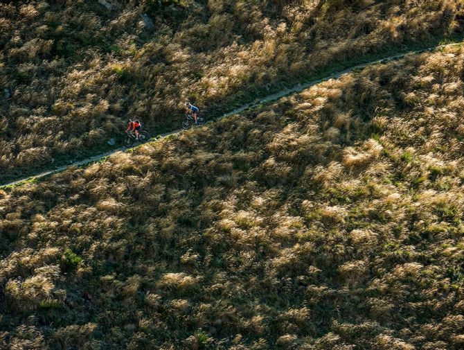 Zwei Mountainbiker fahren auf einem schmalen Naturweg den Berg zwischen Alpwiesen hinunter.