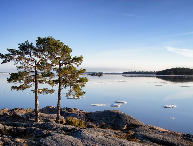 Bild von einem Baum an einem See. Aktivferien mit Eurotrek.