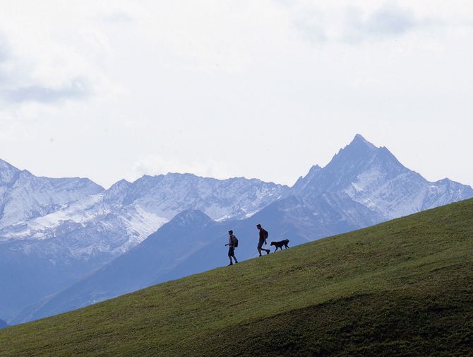 Un randonneur avec un chien. En arrière-plan, un décor de montagne à couper le souffle. Chemin des cols alpins. Vacances de randonnée avec Eurotrek.