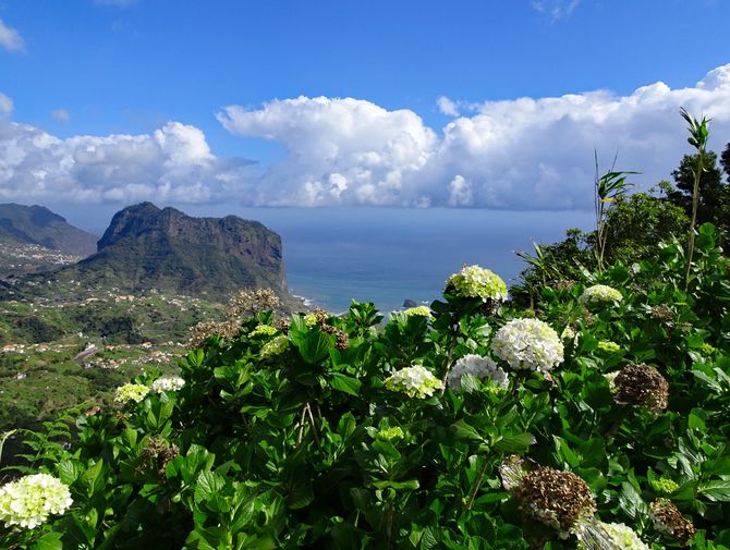 Blick über die Küste von Madeira
