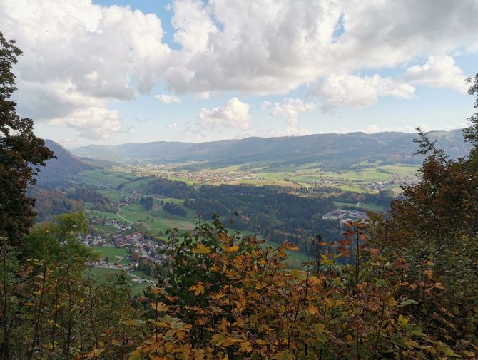 Der Blick durch die Blätter von herbstlich geschmückten Bäumen. Aussicht auf ein Schweizer Tal. 