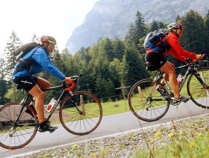 Zwei Radfahrer fahren auf der Alpenpanorama-Route mit Wald im Hintergrund.