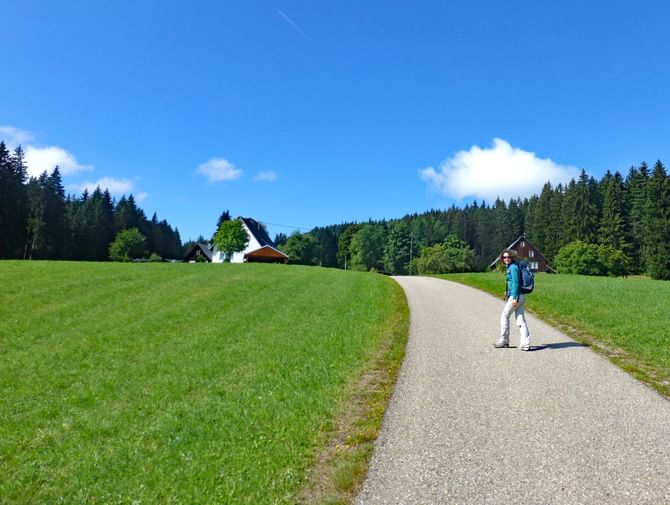 Wanderweg zum Schwarzwald