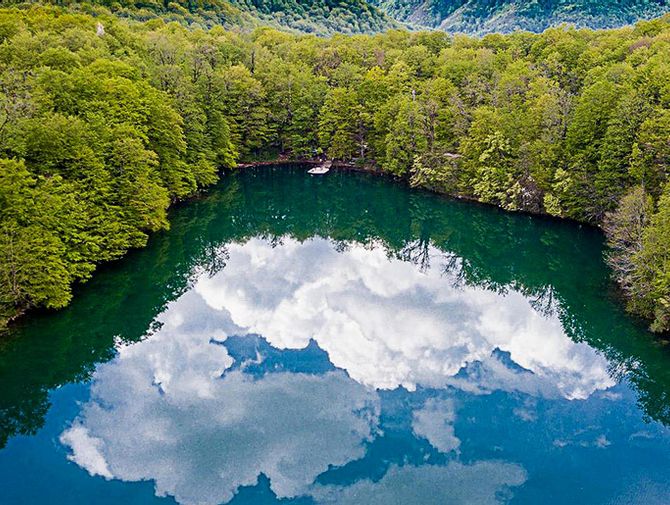 Wunderschöner Bergsee in Montenegro, dessen Ufer dicht mit Bäumen umgeen ist.