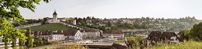 Ein Panoramabild der Stadt Schaffhausen