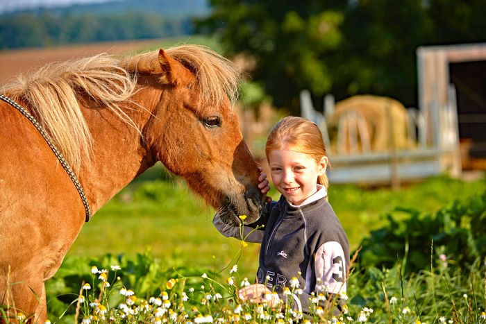 Mädchen streichelt das Pferd in der Wiese