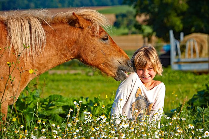 Pferd und Mädchen in der Wiese 