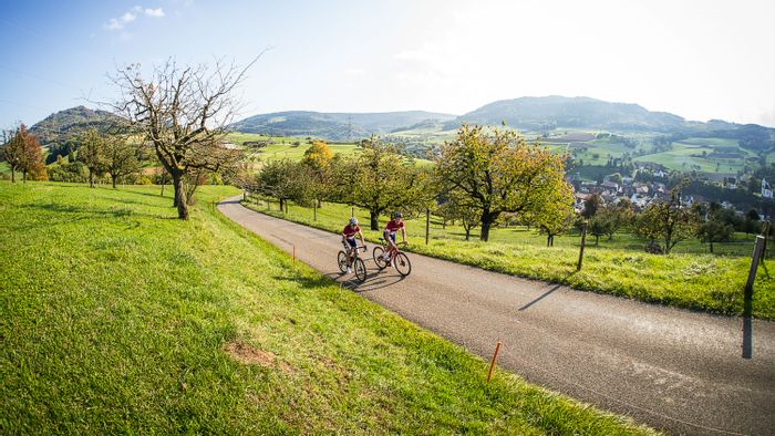 Two racing cyclists cycle up the mountain on a side road.