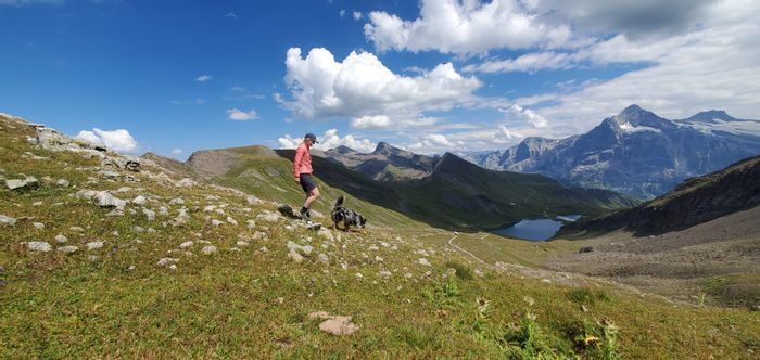 Frau mit Hund wandert einen Hügel hinunter in den Berner Alpen, im Hintergrund ist ein Bergsee zu sehen. 
