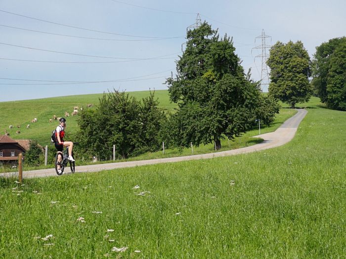 Ein Radfahrer fährt auf einer schmalen Strasse durch eine Wiesenlandschaft auf der Herzschlaufe.