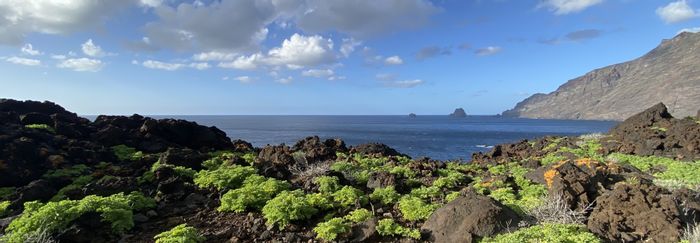 Die Küste von El Hierro mit schwarzem Gestein und grünen Pflanzen direkt am Meer. 