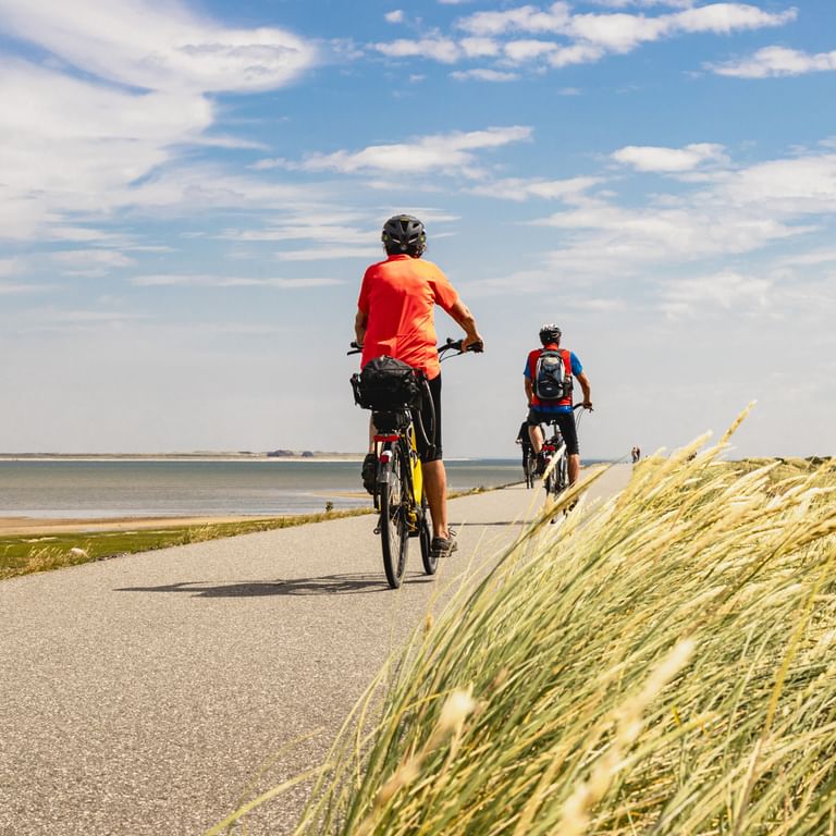 Zwei Radfahrer fahren auf asphaltiertem Küstenweg mit hohem Strandgras rechts und Nordseeküste links unter bewölktem Himmel.