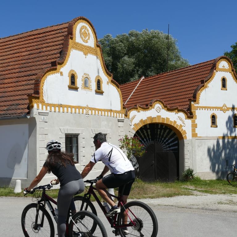Cyclists in the Czech Republic