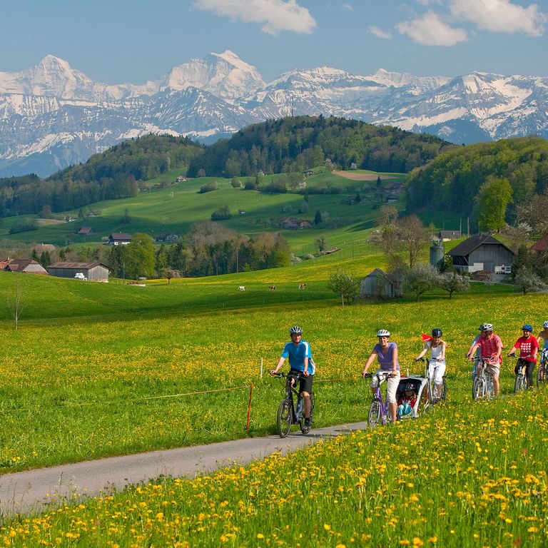 AMSOLDINGEN BE Eine 10-Köpfige Velogruppe fährt auf einer Nebenstrasse zwischen den Weideländern.