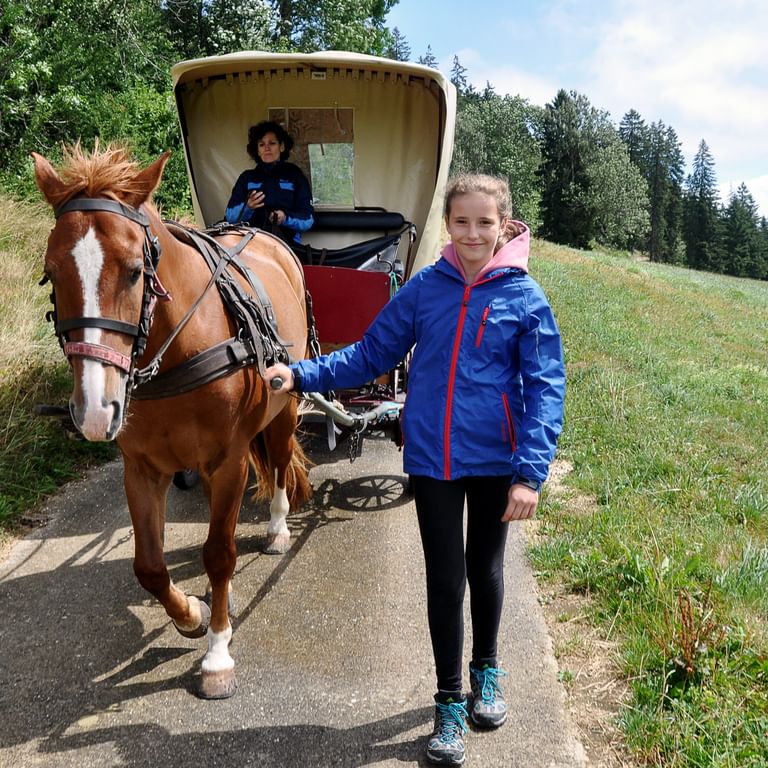 Un enfant conduit le cheval d'une charrette bâchée qui traverse un beau paysage de prairies dans le Jura avec un passager.
